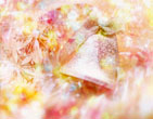 Christmas Wallpapers 226
